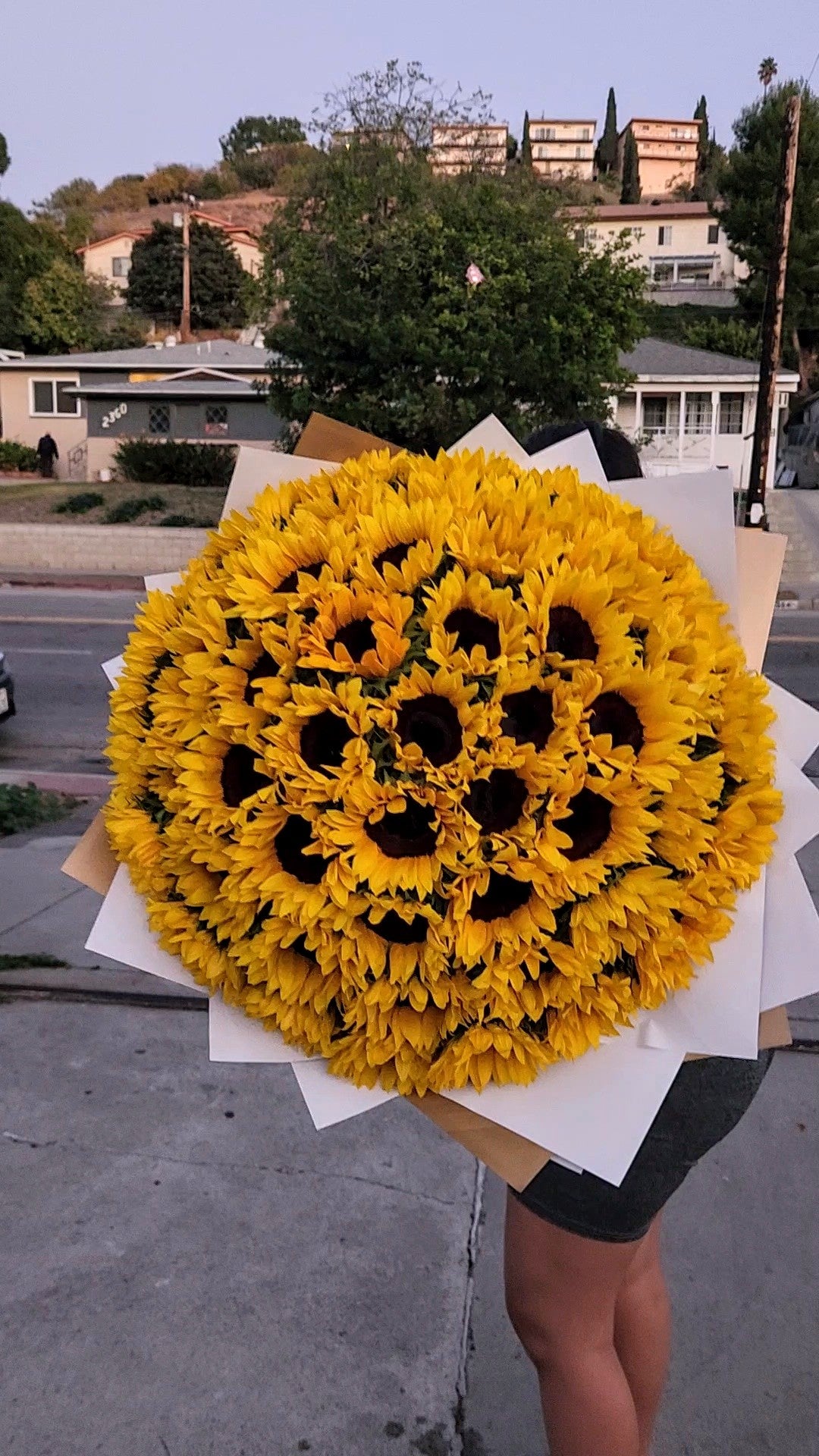 All Sunflower bouquets